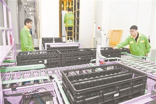 綠色能源揚(yáng)帆海外 余姚佳貝思以技術(shù)開發(fā)引領(lǐng)市場(chǎng)新篇